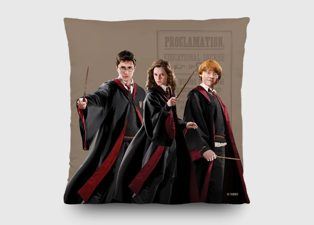 Dekorativní polštářek Harry Potter | 40 x 40 cm | CND 3155