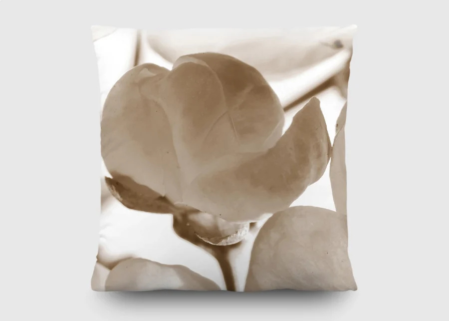 Dekorativní polštářek Květy Jabloní | 45 x 45 cm | CN 3613