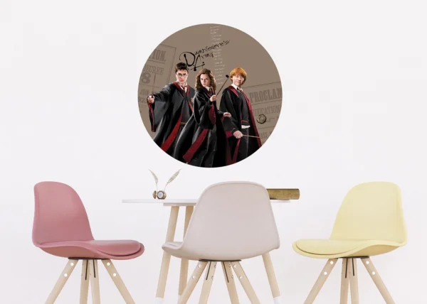 Vliesová fototapeta na zed' Harry Potter Kouzelné Trio | 70 x 70 cm | CRD 5805