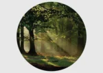 Samolepící vliesová fototapeta na zed' Prosluněný Les | 70 x 70 cm | CR 3210