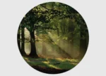 Samolepící vliesová fototapeta na zed' Prosluněný Les | 140 x 140 cm | CR 3310