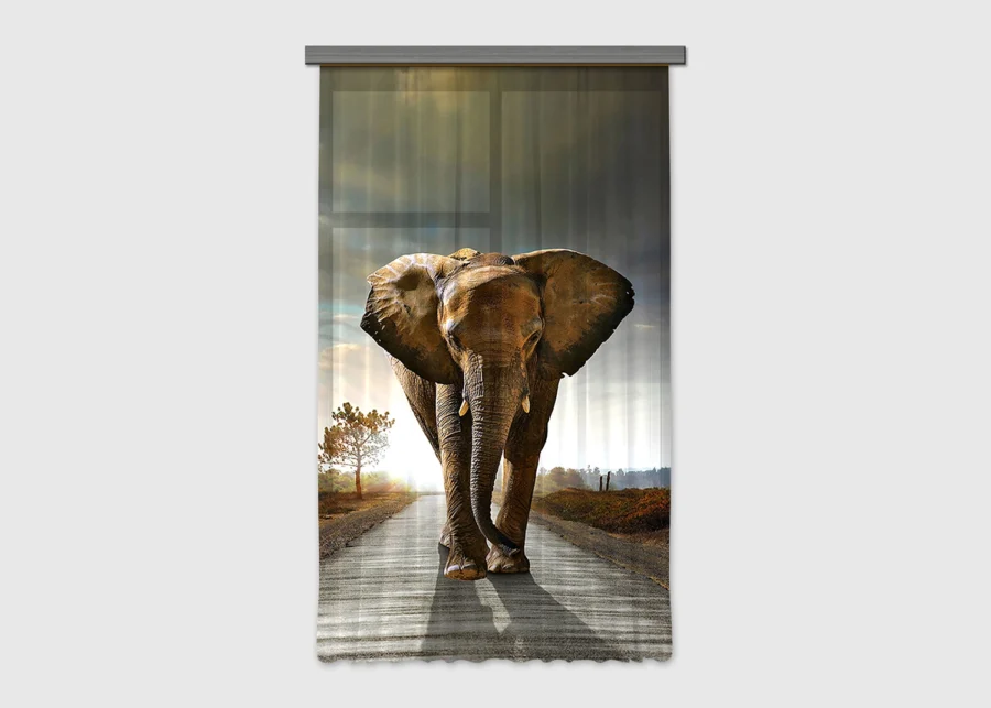 Dekorativní závěs Slon | 140 x 245 cm | FCSL 7507