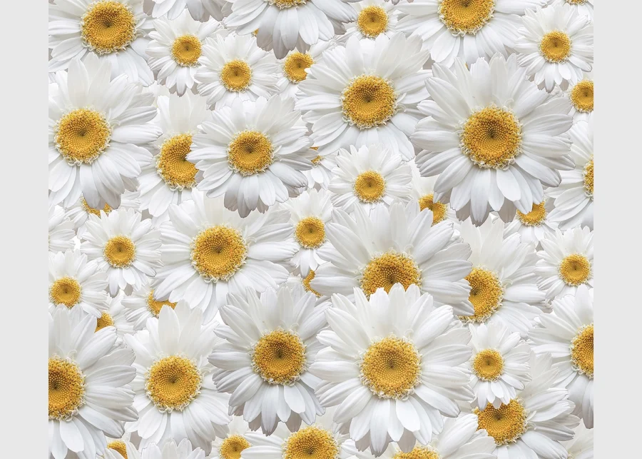 Dekorativní závěs Květy | 180 x 160 cm | FCSXL 4810