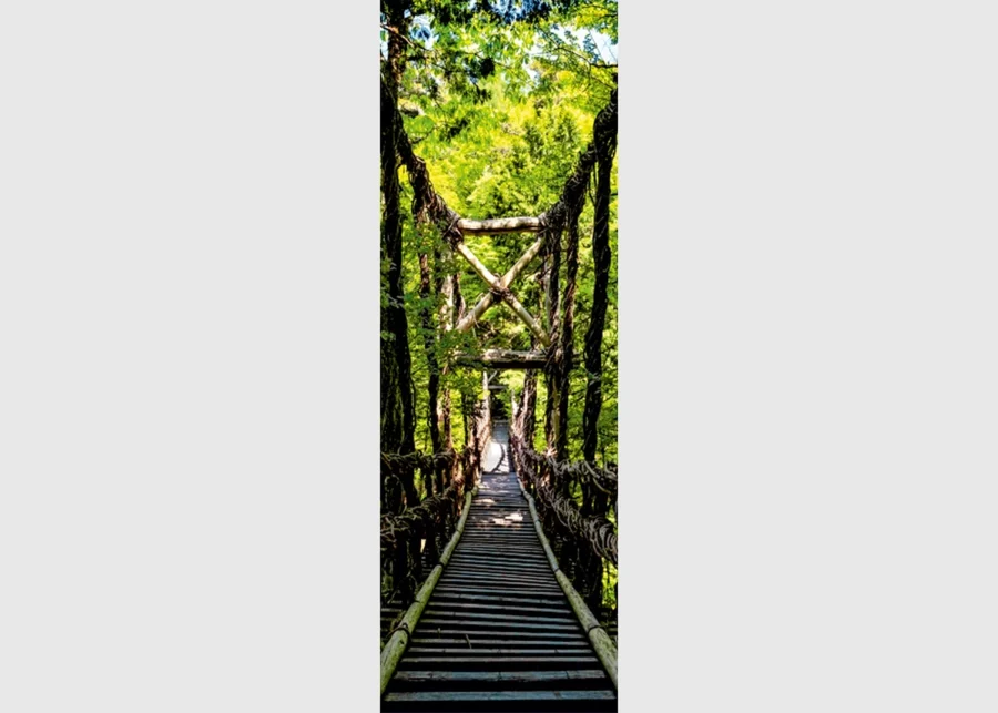 Vliesová fototapeta na zed' Dřevěný Most v Džungli | 90 x 270 cm | FTNVL 3702