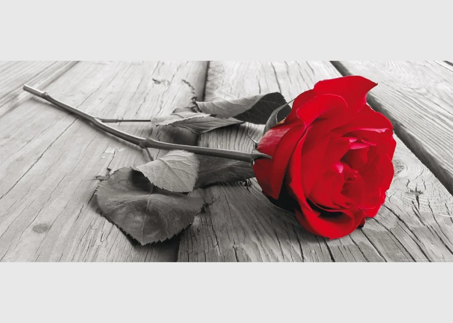 Vliesová fototapeta na zed' Červená Růže | 202 x 90 cm | FTNH 2717