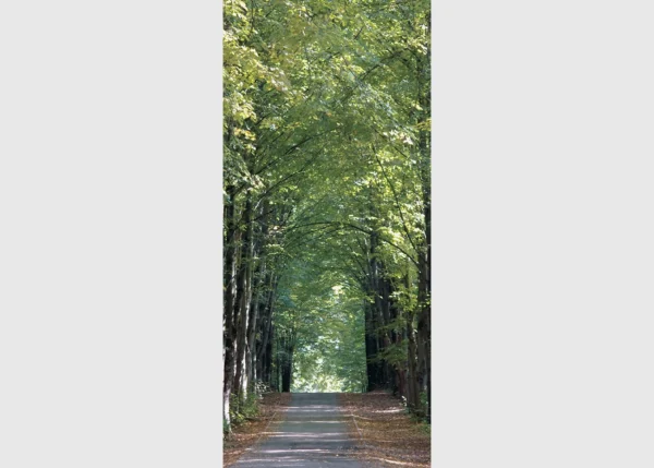 Vliesová fototapeta na zed' Stromová Alej | 202 x 90 cm | FTNV 2807
