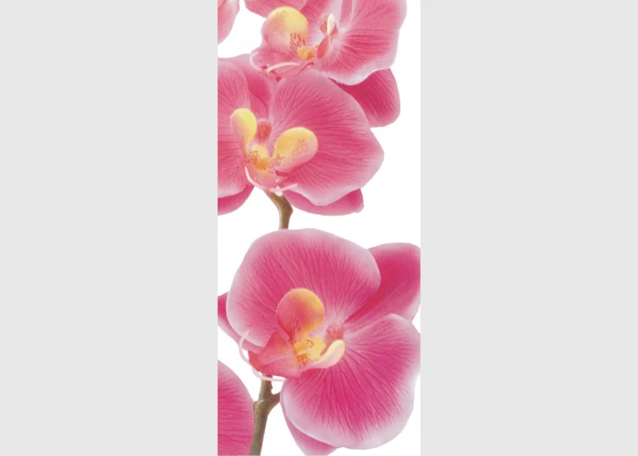 Vliesová fototapeta na zed' Růžová Orchidej | 202 x 90 cm | FTNV 2826