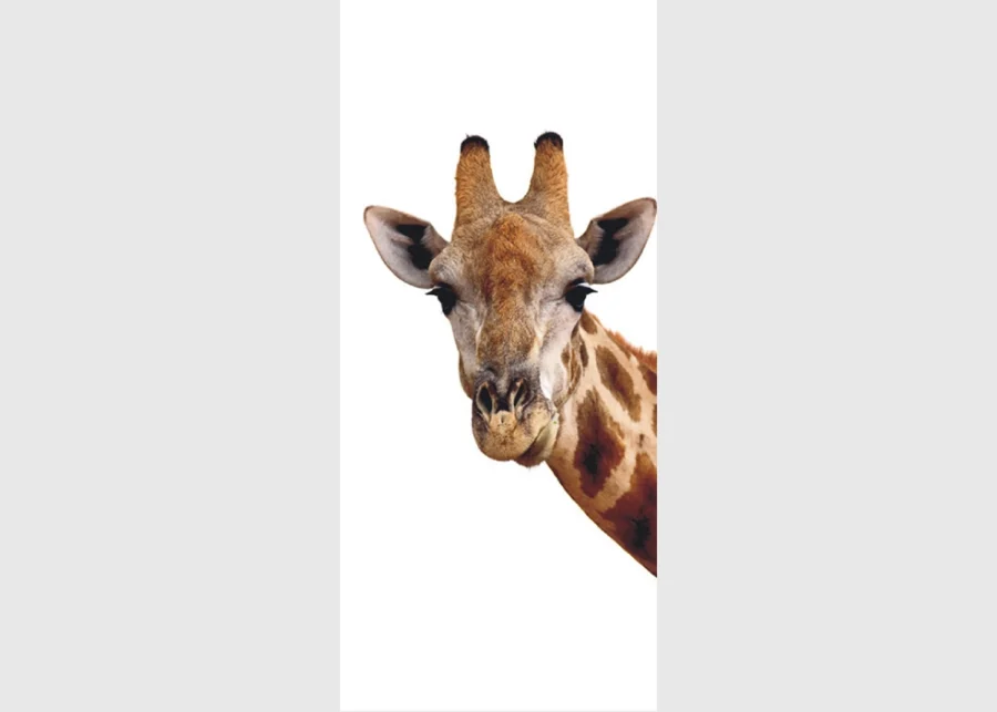 Vliesová fototapeta na zed' Žiraf | 202 x 90 cm | FTNV 2851