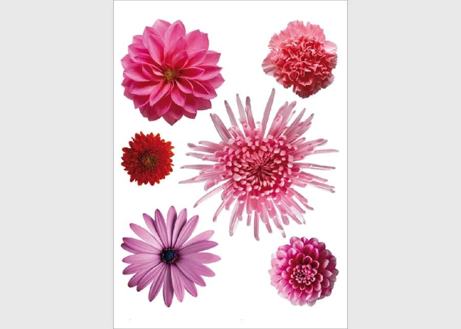 Samolepka na zeď Růžové Květy | 65 x 85 cm | F 0406