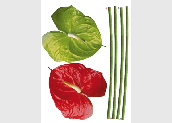 Samolepka na zeď Anturie | 65 x 85 cm | DF0449