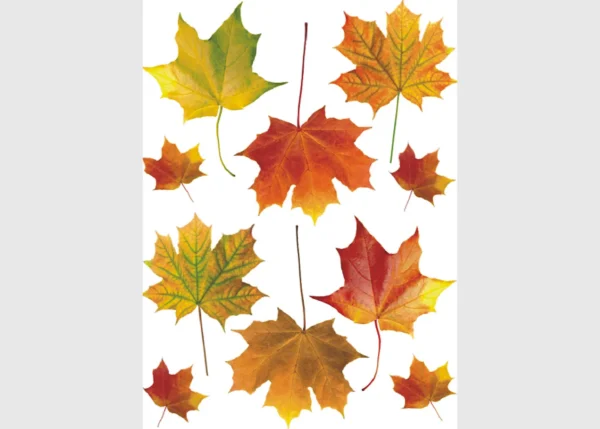 Samolepka na zeď Javorové Listy | 65 x 85 cm | DFL1020