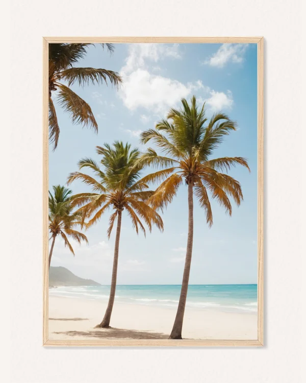 Plakat Palmy, 30 x 42 cm, P 351377