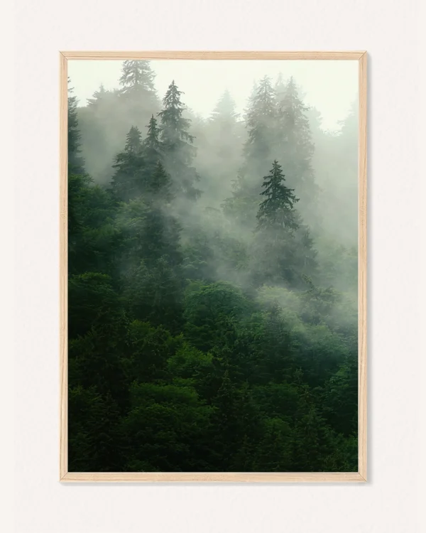 Plakat Příroda, 30 x 42 cm, P 351461