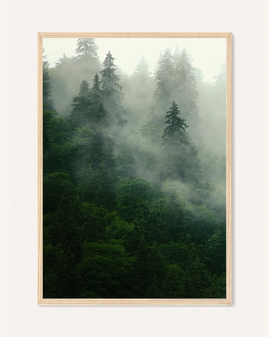 Plakat Příroda, 30 x 42 cm, P 351461
