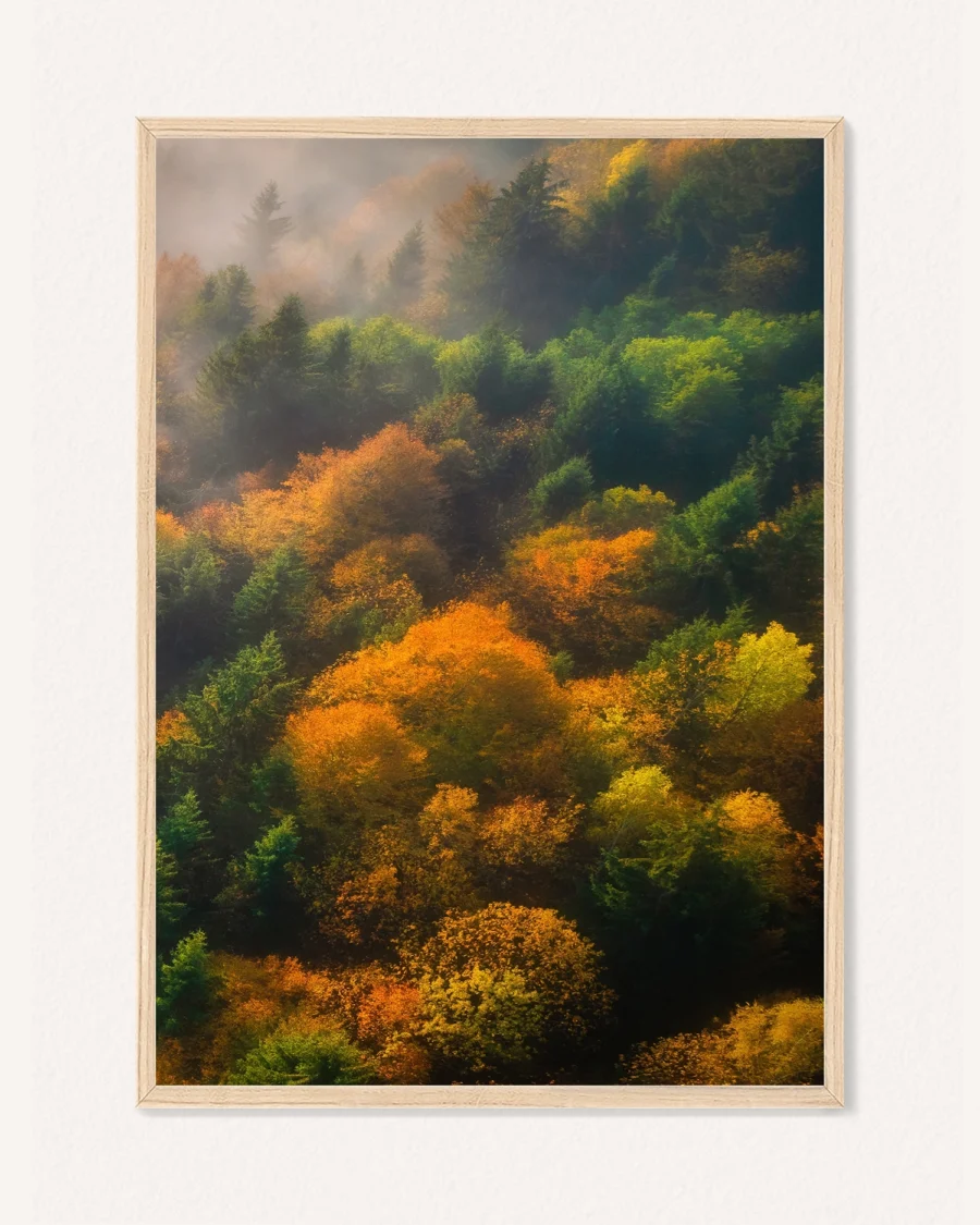 Oboustranný plakát Příroda, 30 x 42 cm, P 351465 - Obrázek 2