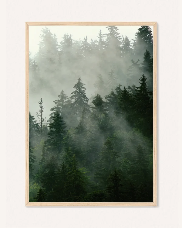 Plakat Příroda, 30 x 42 cm, P 351465