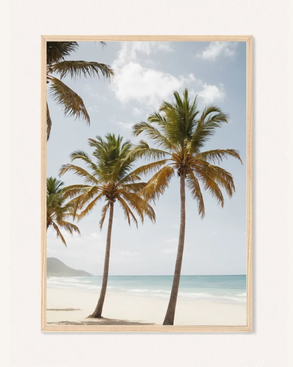 Plakat Léto, 30 x 42 cm, P 351477