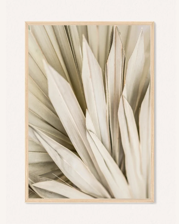 Plakat Botanika, 30 x 42 cm, P 351485
