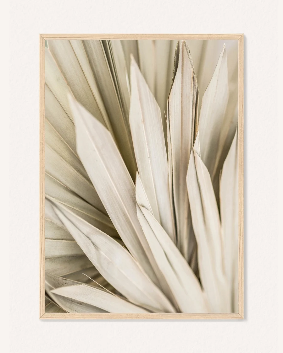 Plakat Botanika, 30 x 42 cm, P 351485