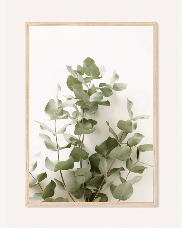 Plakat Botanika, 30 x 42 cm, P 351489