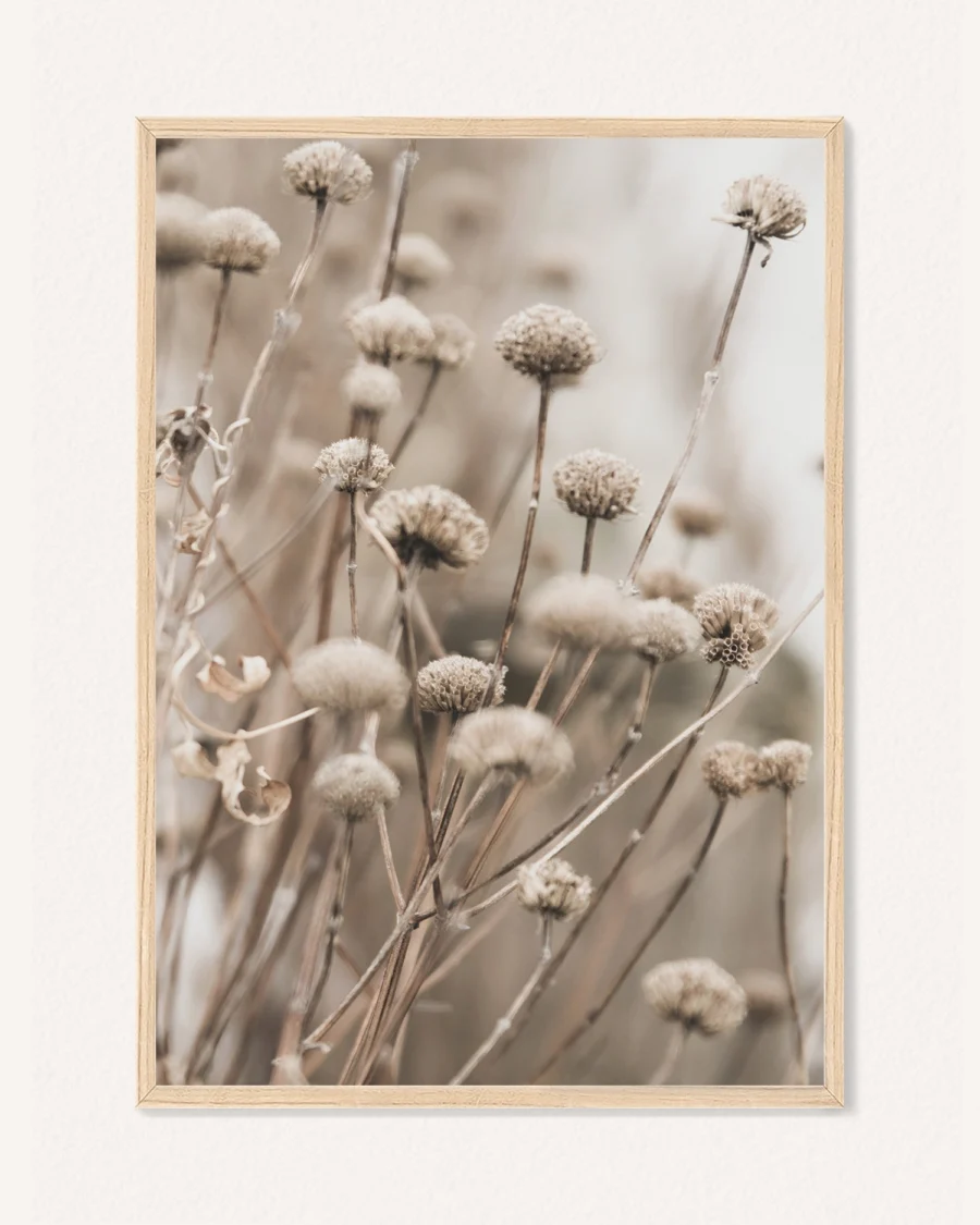 Plakat Letní Pampová Tráva, 30 x 42 cm, P 351493 - Image 2