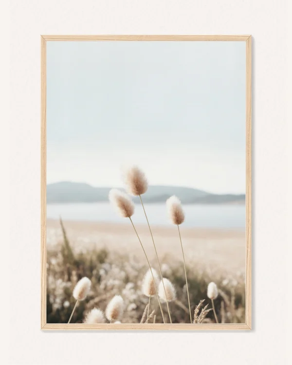 Plakat Letní Pampová Tráva, 30 x 42 cm, P 351493