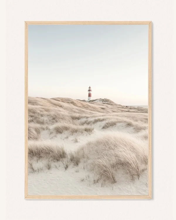 Plakat Letní Pampová Tráva, 30 x 42 cm, P 351497