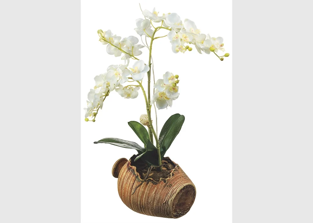 Samolepka na zeď Orchidej v Květináče | 42.5 x 65 cm | SM 3430