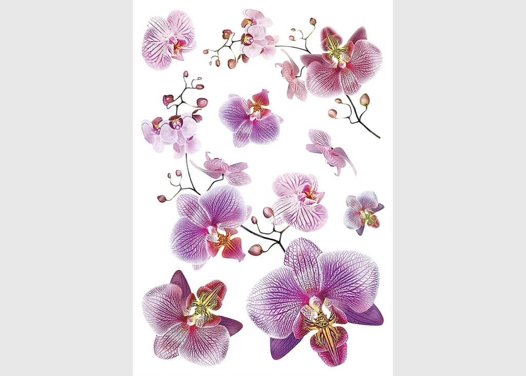 Samolepka na zeď Orchideje | 42.5 x 65 cm | SM 3440